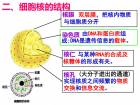 知识点小卡片