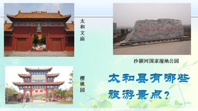 桑梦茹.jpg