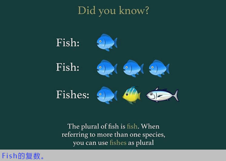 图解-fish的单复数.jpg